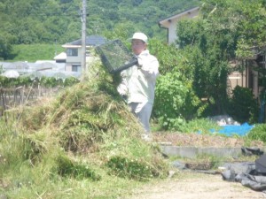 除草